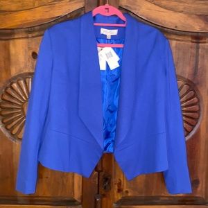 Philosophy business casual blue bolero blazer. Beautiful cornflower blue